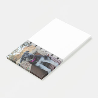 Puppy Waits on the Stairs Post-it Notes