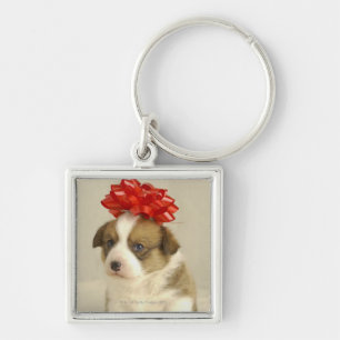 Puppy wearing a red bow keychain