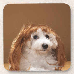 Puppy wearing ginger wig coaster