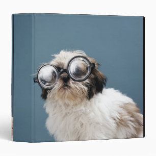 Puppy wearing thick glasses binder