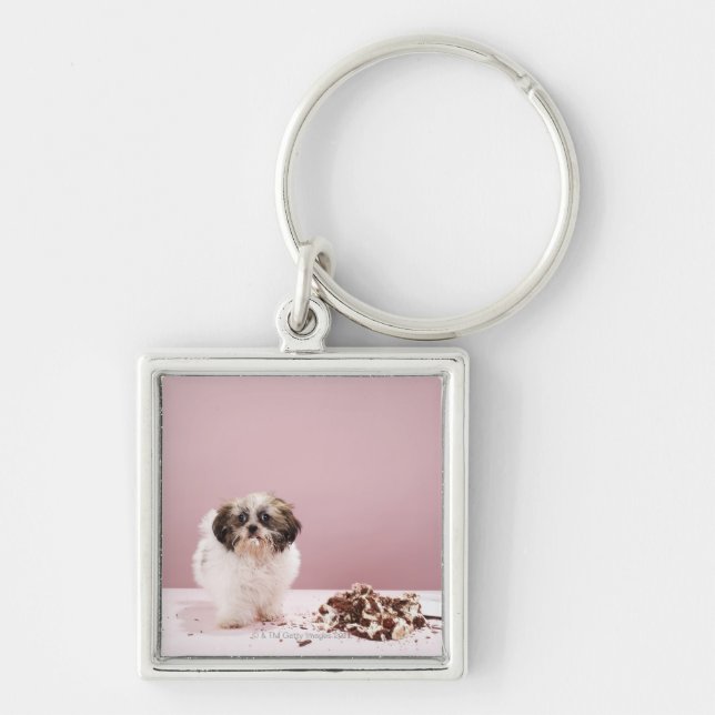 Puppy with cake on floor keychain (Front)