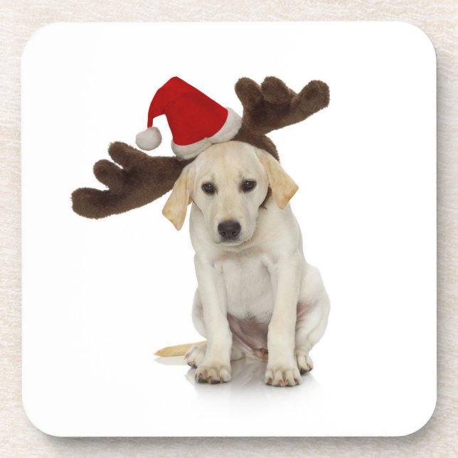 Puppy with Santa Hat and Reindeer Ears Coaster (Front)