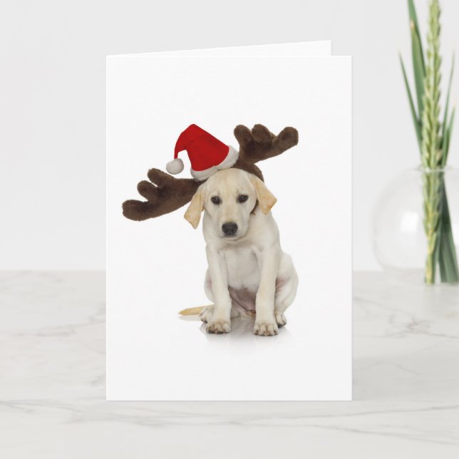 Puppy with Santa Hat and Reindeer Ears Holiday Card (Front)