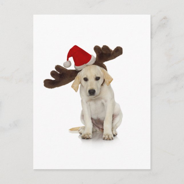 Puppy with Santa Hat and Reindeer Ears Holiday Postcard (Front)