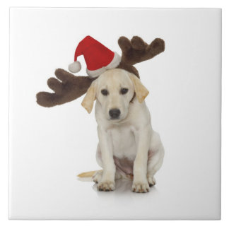 Puppy with Santa Hat and Reindeer Ears Tile