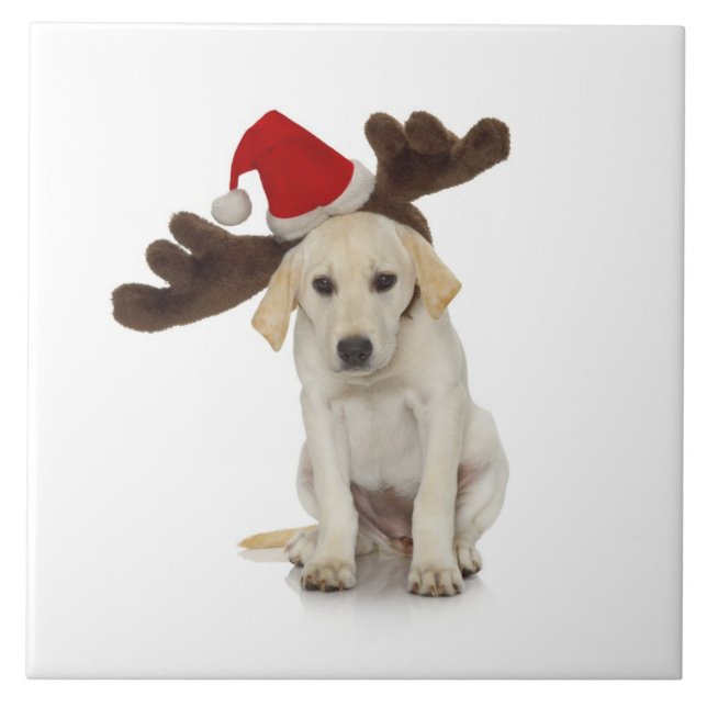 Puppy with Santa Hat and Reindeer Ears Tile (Front)