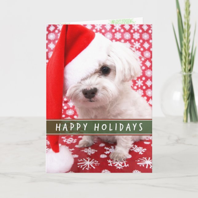 Puppy with Santa Hat Christmas card (Front)