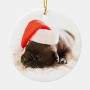 Puppy With Santa Hat On White Background Ceramic Ornament