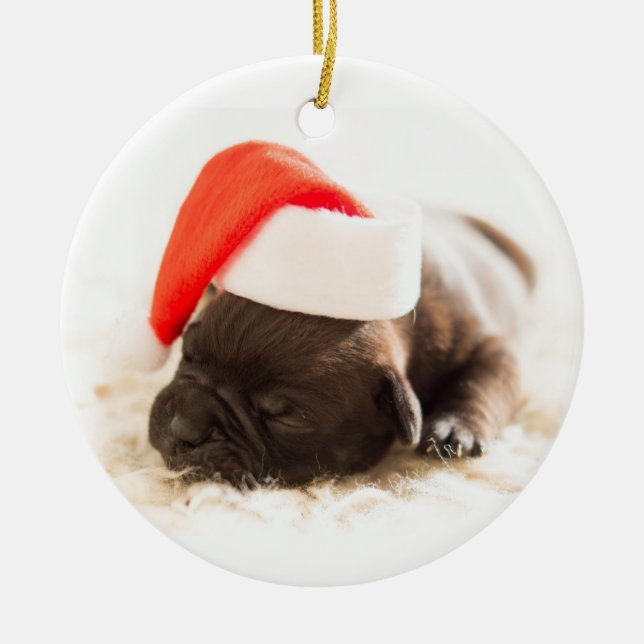 Puppy With Santa Hat On White Background Ceramic Ornament (Front)
