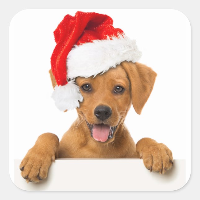 PUPPY WITH Santa hat STICKER ENVELOPE SEAL (Front)