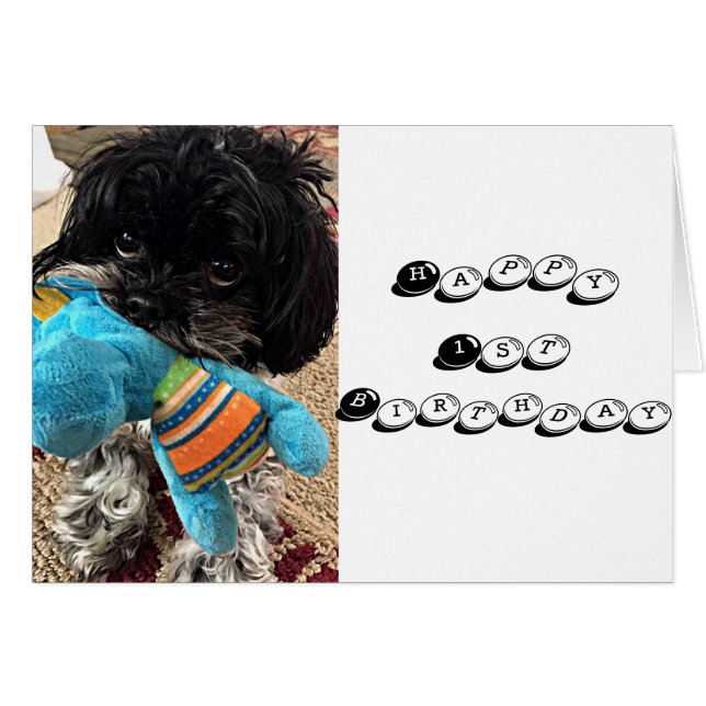 PUPPY With TOY DIT QUE VOUS TOURNEZ ****1**** (Devant horizontal)