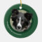 Puppy's First Christmas (Border Collie)