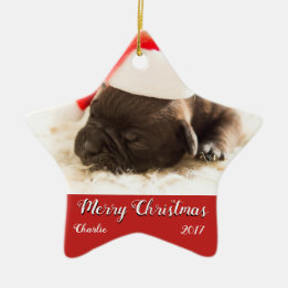Puppy's First Christmas Ornament Customize