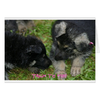 Pups