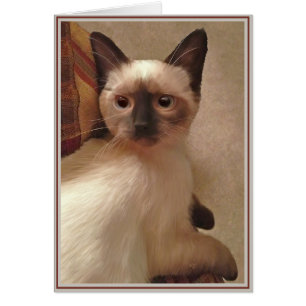 PUPs Card Kitties 15