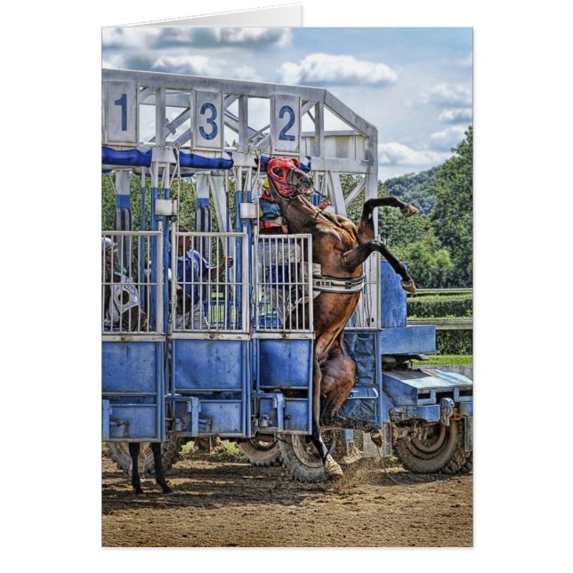 Pur sangs risqués (Devant)