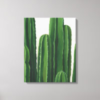 Pura Vida - Cacti Group