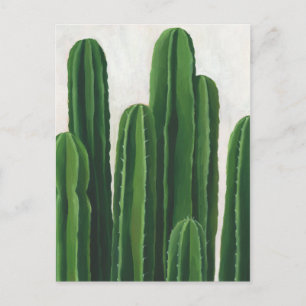 Pura Vida - Cacti Group Postcard