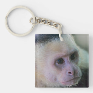 Pura vida for White-faced capuchin monkey Keychain