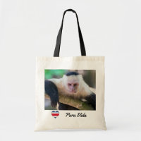 Pura vida for White-faced capuchin monkey