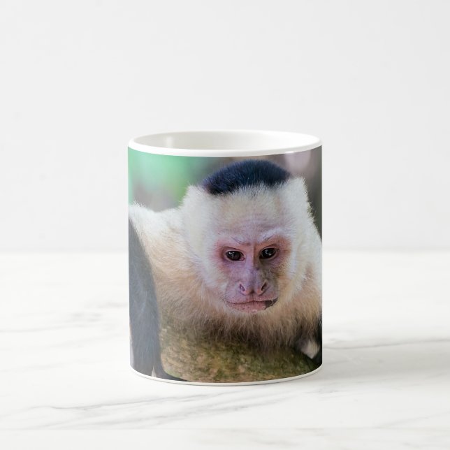 Pura vida for White headed capuchin monkey Coffee Mug (Center)