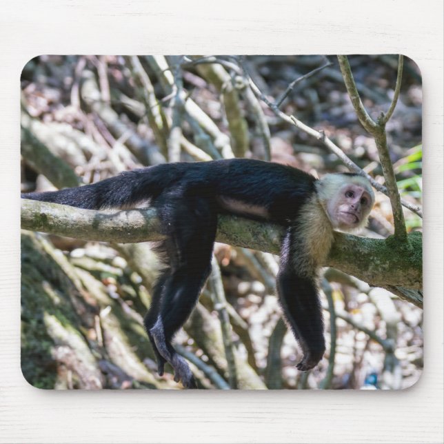 Pura vida for White headed capuchin monkey Mouse Pad (Front)