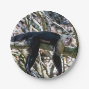 Pura vida for White headed capuchin monkey Paper Plate