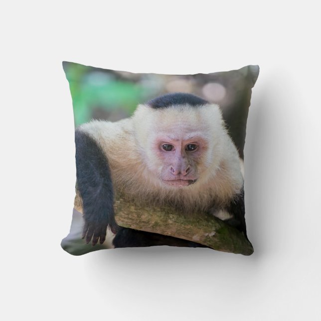 Pura vida for White headed capuchin monkey Throw Pillow (Front)