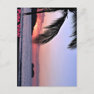 Pura Vida! Postcard