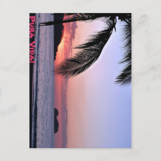 Pura Vida! Postcard