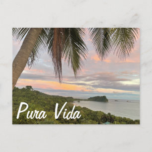 Pura Vida Postcard