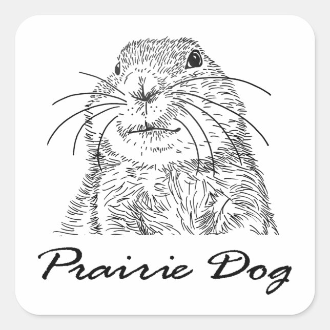purairie dog face 3 square sticker (Front)