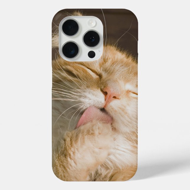 Pure Bliss Maine Coon Cat Close-Up Photograph Case-Mate iPhone Case (Back)
