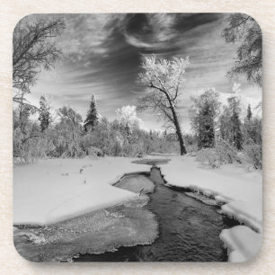 Pure Campbell Creek Coaster