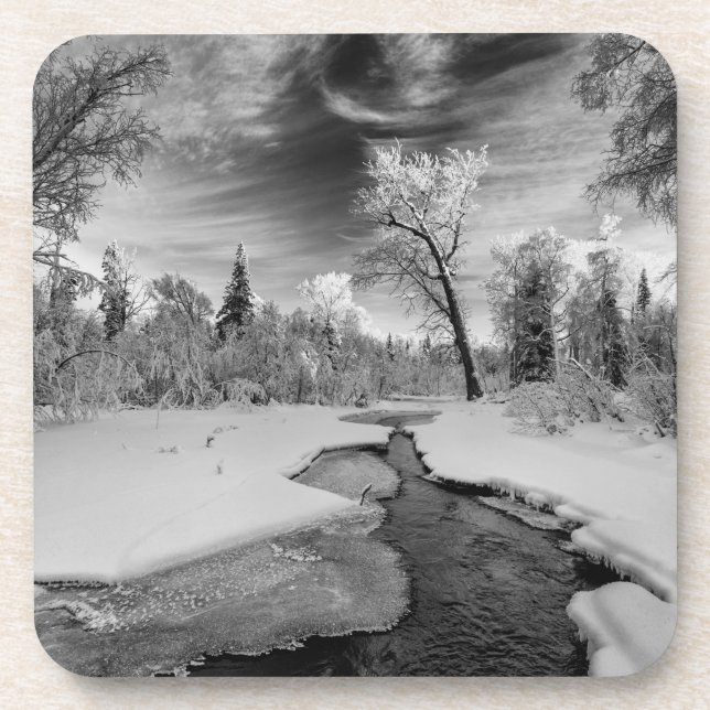 Pure Campbell Creek Coaster (Front)