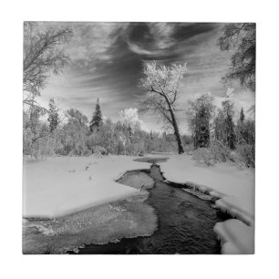 Pure Campbell Creek Tile