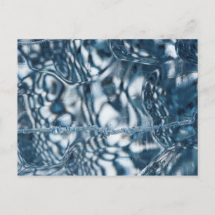 Pure Ice Postcard