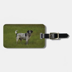 Pure Joy Luggage Tag