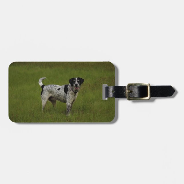 Pure Joy Luggage Tag (Front Horizontal)