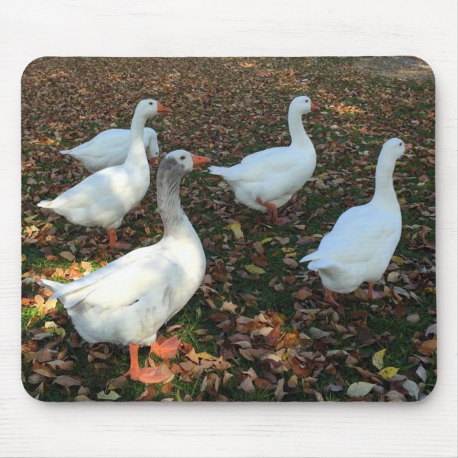 Pure Nature Mouse Pad (Front)