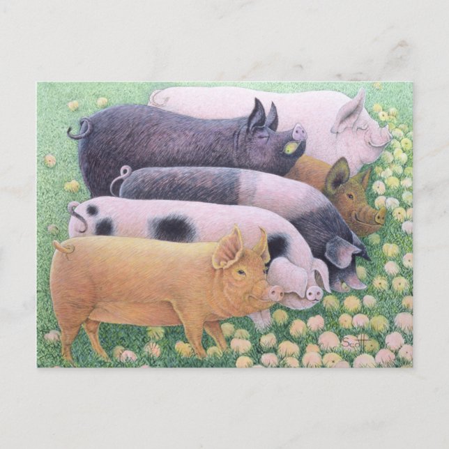 Pure Pleasure Postcard (Front)