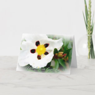 Pure White & Bright Blossom flower Greeting Card