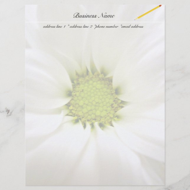 pure white daisy flower (Front)