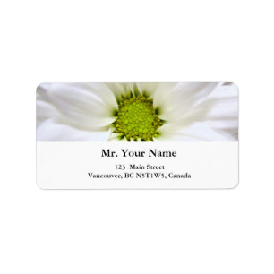 pure white daisy flower label