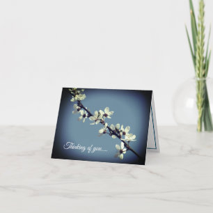 Pure White Plum Blossom in Spring Card