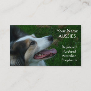 Purebred Black Tricolor Aussie Business Card