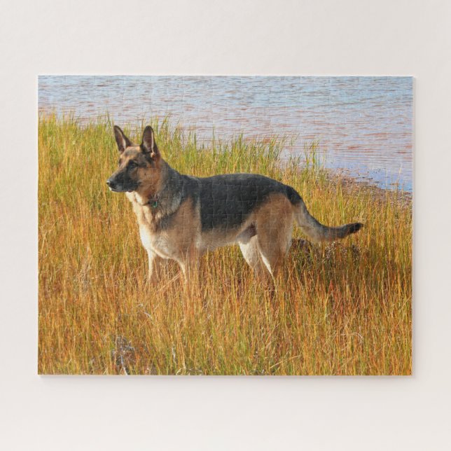 Purebred German Shepherd Jigsaw Puzzle (Horizontal)