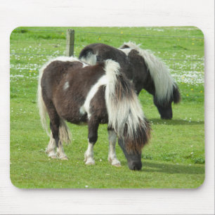 Purebred Shetland Paint Ponies Mouse Pad