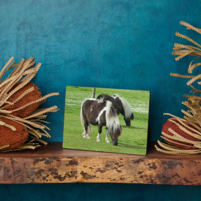 Purebred Shetland Paint Ponies Plaque (Side)