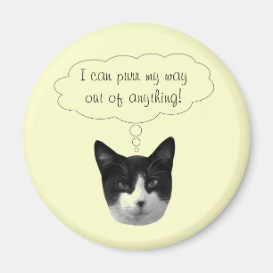 Purer ma façon de sortir de tout aimant